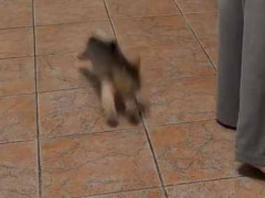 お母さんが台所で料理を作っていた。ママ遊んでよぉ！ → かまってちゃんはこんな様子です…
