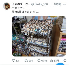 【画像】フィギュアオタクさん「震度５弱はアカンって…」