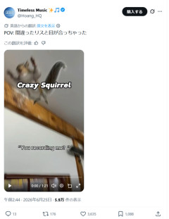 【悲報】屈強な外国人、たかがリスごときに敗北するｗｗｗｗ