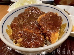 愛知県民なんだけど未だに味噌カツと味噌煮込みうどんの美味さがわからない