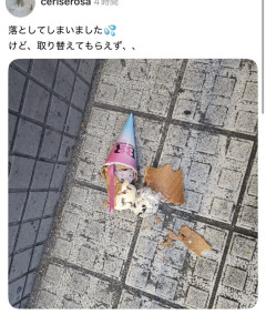 【画像】女さん「アイスを落としたのにサーティワンは取り替えてくれなかった！！」