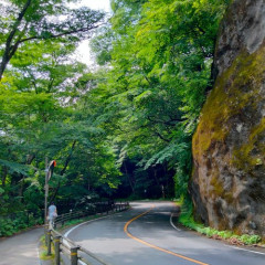 【困惑】山登りが趣味な人ってあれなにｗｗｗｗｗｗｗｗｗｗ