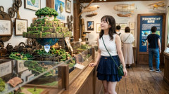 【口ﾘコソ】ムスカ「ラピュタでシータとずっと二人きりで暮らすんだ」←これ