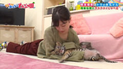 【画像】橋本環奈ちゃんさん、クソガキにオッパイを触られるｗｗｗｗｗ