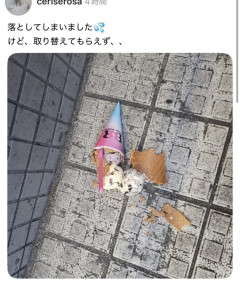 【画像】女さん「アイスを落としたのにサーティワンは取り替えてくれなかった！！」