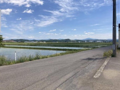 ワイ、朝の草むしり1時間を終える