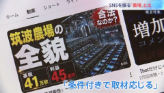 人為的にSNSでバズらせる｢スマホ農場｣の運営者を取材 ”テスト”と書かれた投稿が6分で100万回表示 選挙で悪用の懸念も