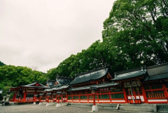 中学生までに家族旅行に沢山連れて行って貰えなかった層の人って可哀想だよな。幼ながらにして体験格差が大きくて後々の人生に影響あって