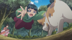 『薬屋のひとりごと』25話感想 後宮で小説が流行！子猫を拾う猫猫！