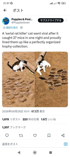 【画像】海外の凶悪犯…一晩で27キル達成し遺体を綺麗に並べるｗｗｗｗ