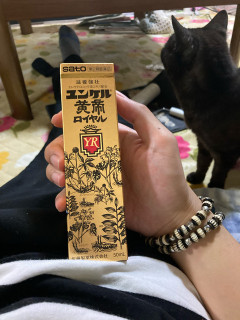 【画像】高級なユンケル買ってきたぞ！
