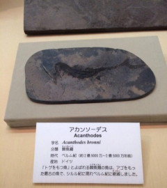 画像でフフッてなったら寝ろｗｗｗｗｗｗｗｗｗｗｗｗｗｗｗｗｗｗｗｗｗｗｗ