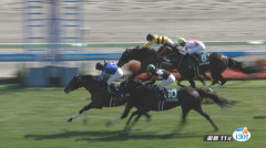 小林美駒騎手、騎乗停止　他
