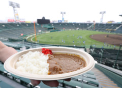 甲子園カレーｗｗｗｗｗｗｗｗｗｗｗ