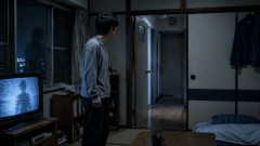 【結論】幽霊は実在しない。でも「見える奴」はいる←これが一番怖い