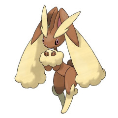 【ポケチャン】ポケモンの対戦はBWの頃にちょっとやった程度なんだけど今からでもやれるだろうか