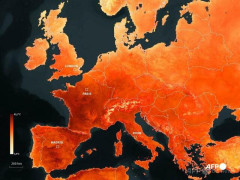 欧州、猛暑の影響で1300人超が死亡