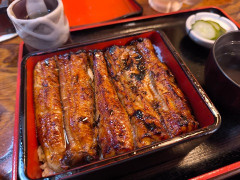 【画像】うなぎ食べてきたよー！！！