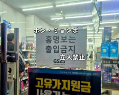 韓国人「韓国代表が敗退したのはホン・ミョンボがすべて悪い！」と監督にすべての責任を押しつけてしまう……まずは現実を受け入れたほうがよくない？ 韓国代表、そこまで強くないよ……