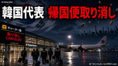 【W杯】失意の韓国代表、帰国チャーター機も取り消し 国民がまたこれにブチ切れ「卵洗礼に合う勇気もないか」