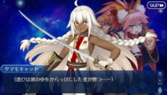 【FGO】マスターがその気になれば、1騎のサーヴァントを新選組兼エリザベート兼イリヤ兼梁山泊兼マイフェアソルジャーで善にも悪にもできます
