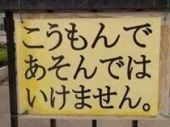 ワイ、ケツで遊んだ結果病院送りｗ