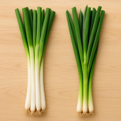 ネギといえば「白」「青」どっち？ 東西で違う主流の謎   #野菜 |  白ネギは具材
