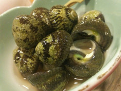 【悲報】九州人、謎の巻貝(？)を大量にホジホジして食べていた…ｗｗｗｗｗｗｗ