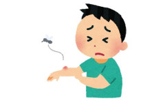 蚊🦟「すまん、血液を3ミリグラムぐらいクレメンス！赤ちゃんの為やし痛くしないから！」