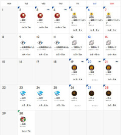 横浜DeNAベイスターズ　6月 4勝14敗