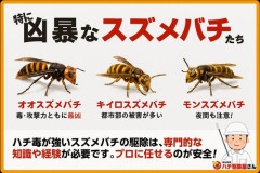 【悲報】絶滅したらみんなが喜ぶ生き物