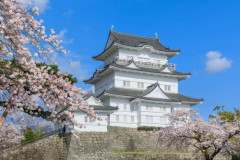 【悲報】神奈川県『小田原市』について知ってること