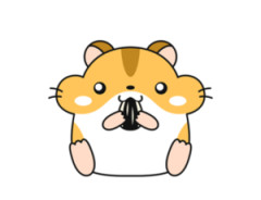 【画像】ハムスターさん、逃亡するｗｗｗｗｗｗｗｗｗｗ