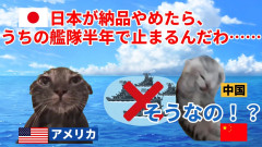 【静かな支配】世界が日本を無視できない理由 #猫マニ #猫ミーム（ ニャースインフォ）「めっちゃ面白い！出来れば動画をSNS告知してあげてください」