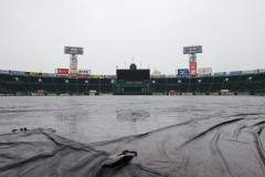 【悲報】甲子園、またまたまたまた中止wwwwwwwwwwwwwwwww