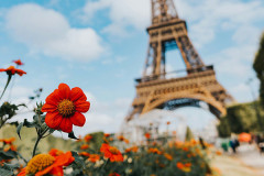フランス(食べ物S観光SスポーツSオシャレさS人の優しさS)←この国
