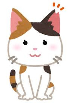 【動画】トルコのイスタンブール←町中に野良猫に餌あげるための自販機ありますｗｗｗｗｗｗｗｗｗｗｗｗｗｗｗｗ