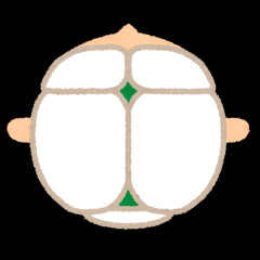 彡(^)(^)「容姿もまあ大事っちゃ大事だが中身だな！磨こうぜ中身！」