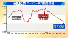 【悲報】コメ価格の暴落、止まらない