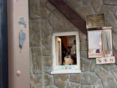 美術館の窓口には可愛いお姉さんがいた。よく勘違いされそうだ → 目つきはこんな様子です…