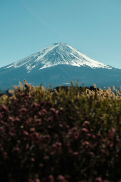 富士山の遭難死、標高3000m超が7割…多発する中高年男性の急死