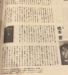 佐藤二朗vs橋本愛、どちらに理があるか不明も、橋本愛の「在日特権はデマ」という主張が注目される