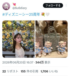【悲報】ディズニーシーを満喫していた女さん、両腕が消失する