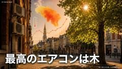 【速報】ベルギー「エアコンの使用は控えて下さい。最高のエアコンは木なので、木を植えましょう」
