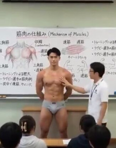 【動画】筋肉の仕組みを教える授業、レベチｗｗｗｗｗｗｗｗｗｗｗｗｗｗｗｗｗｗｗｗｗｗｗｗ