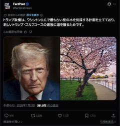 【悲報】トランプ大統領、日本が友好の証として寄贈したワシントンD.C.の桜の木を伐採しようとして炎上