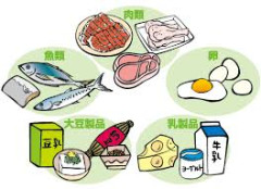 コスパ最強のタンパク質源を教えてくれ、マッチョ！
