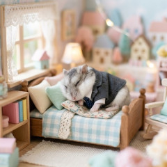 寝起きワイ「仕事か…行きたくねぇ…」
