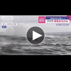 【動画】クジラにボートごと飲み込まれる瞬間
