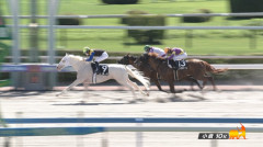 【西部日刊スポーツ杯】カルパ＆田山騎手がｷﾀ━━━━(ﾟ∀ﾟ)━━━━!!
